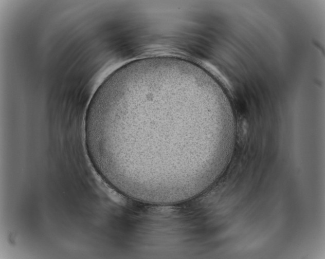 X0000091231431200708301505