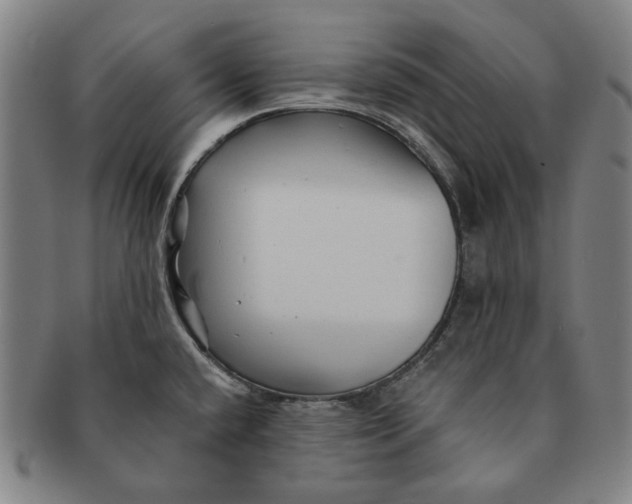 X0000091231432200708301505