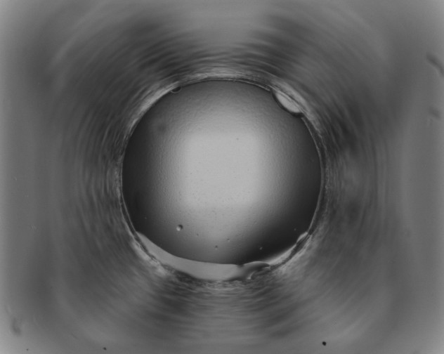 X0000091231433200708301505
