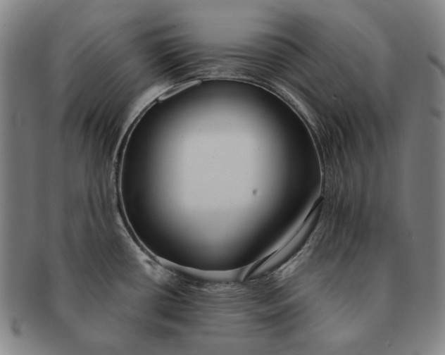 X0000091231434200708301505
