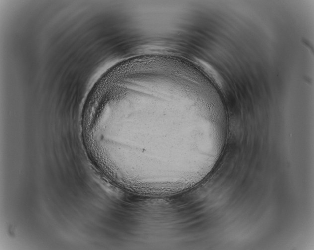 X0000091231435200708301505