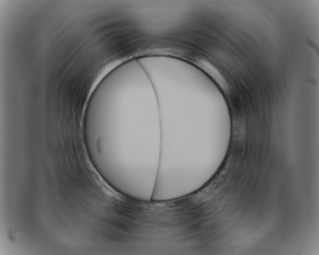 X0000091231436200708301505