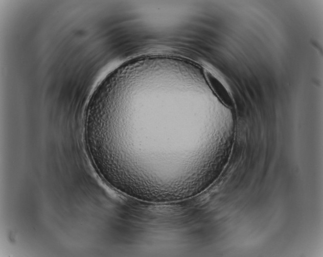 X0000091231437200708301505