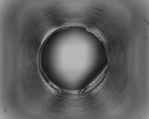 X0000091231438200708301505