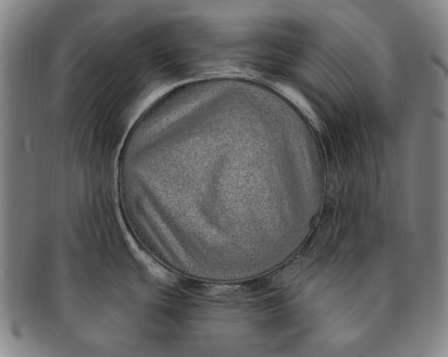 X0000091231439200708301505