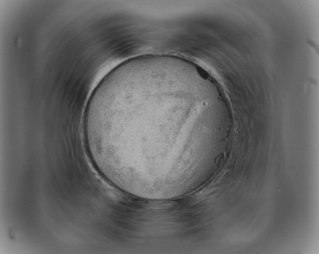 X0000091231440200708301505
