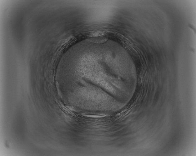 X0000091231441200708301504