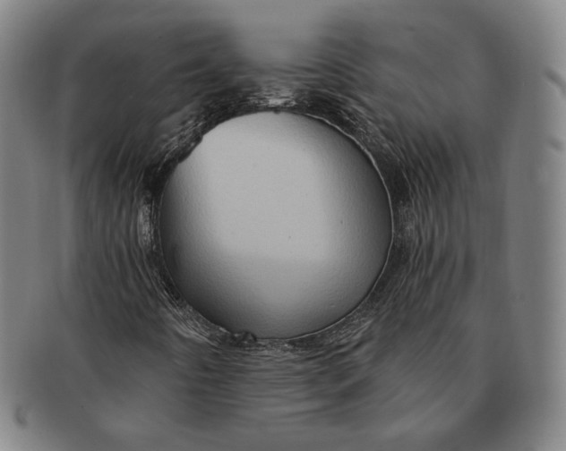 X0000091231442200708301504