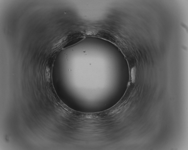 X0000091231443200708301504