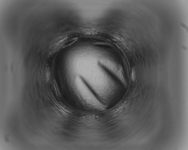 X0000091231444200708301504
