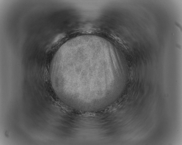 X0000091231446200708301504