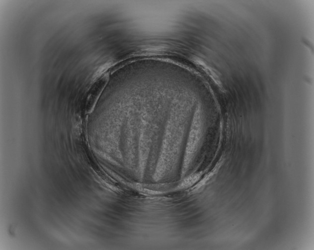 X0000091231449200708301504