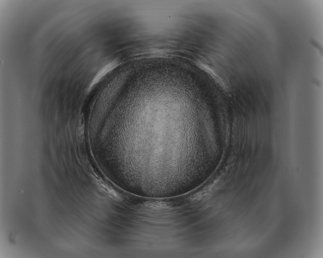 X0000091231450200708301504