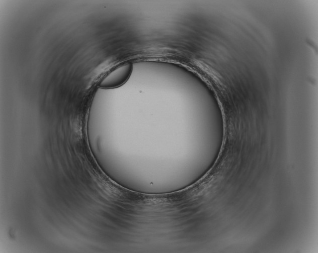 X0000091231451200708301504