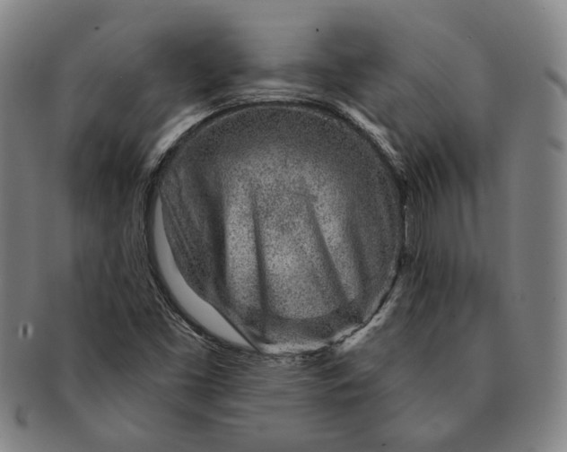 X0000091231453200708301504