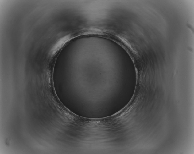 X0000091231455200708301504