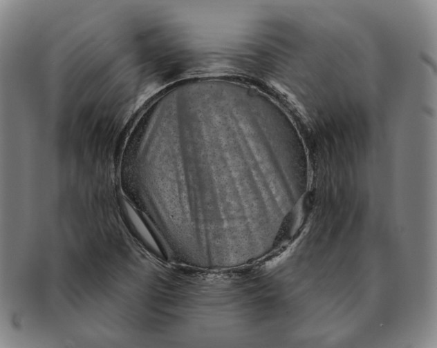 X0000091231457200708301504