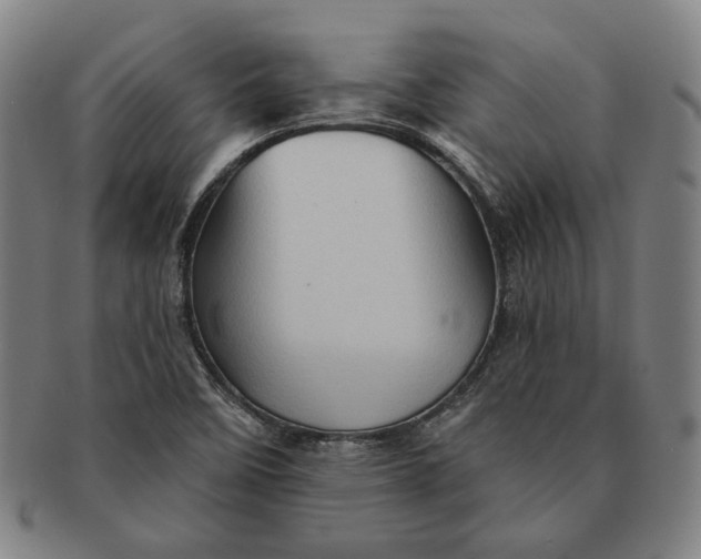 X0000091231458200708301504