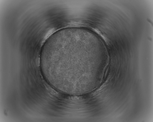 X0000091231459200708301504