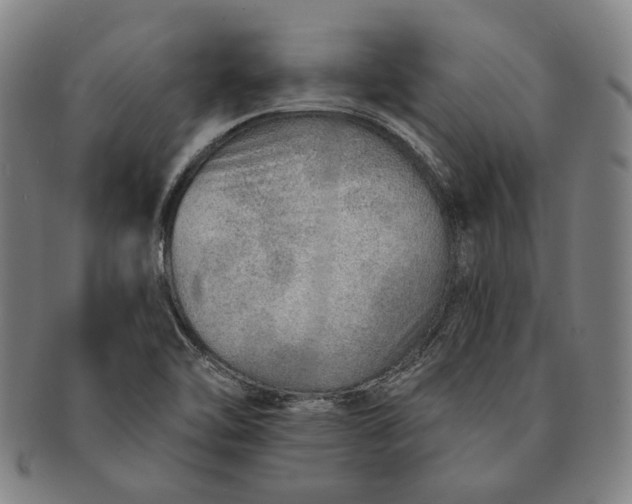 X0000091231462200708301504