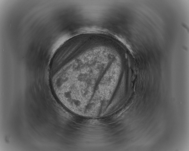 X0000091231463200708301504