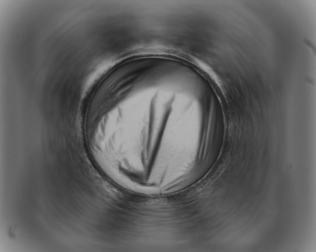 X0000091231464200708301504