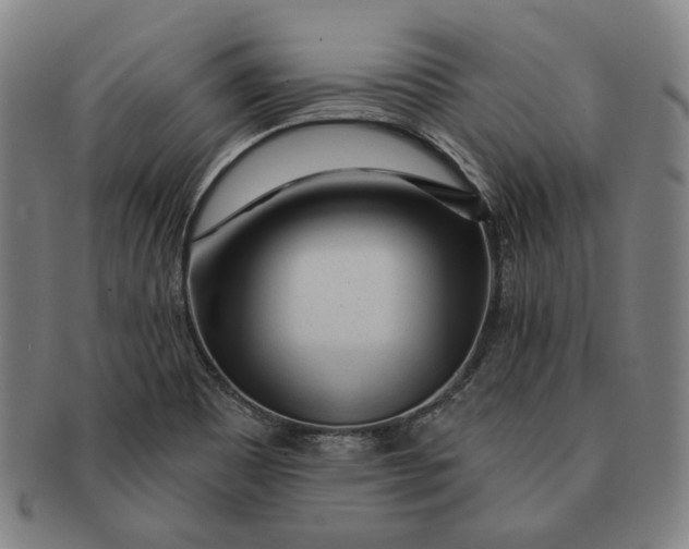 X0000091231465200708301504