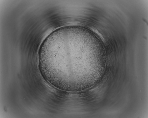 X0000091231467200708301504