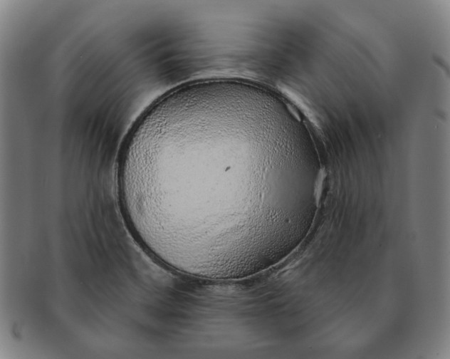X0000091231468200708301504