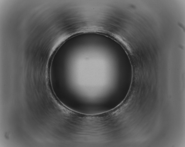 X0000091231469200708301504