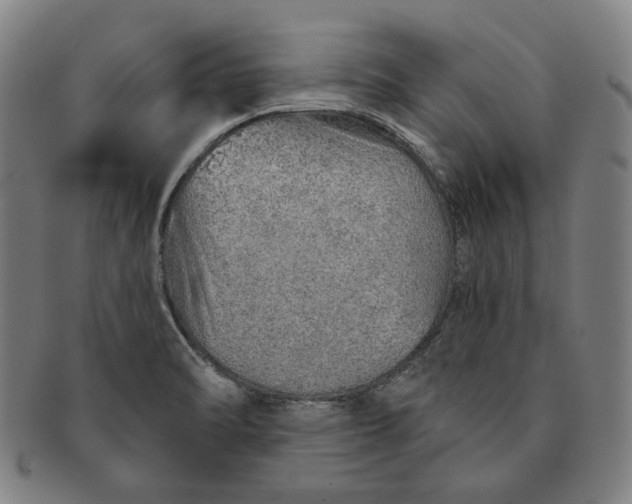 X0000091231470200708301504