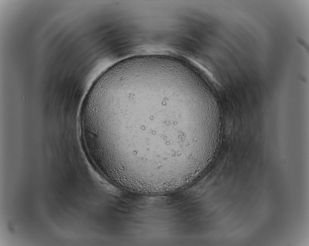 X0000091231471200708301504