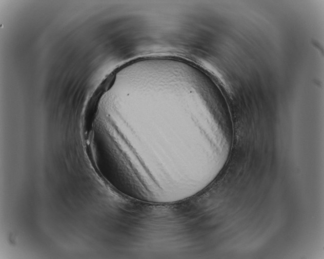 X0000091231472200708301504