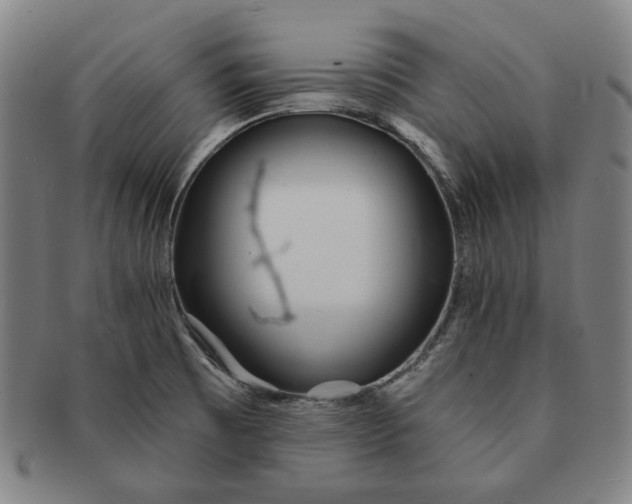 X0000091231473200708301504