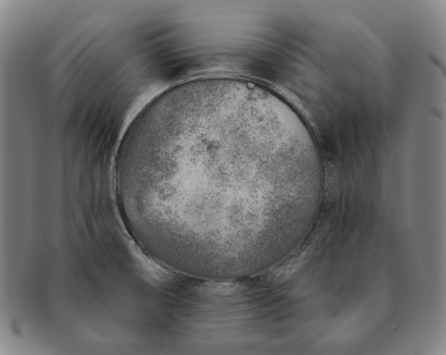 X0000091231474200708301504
