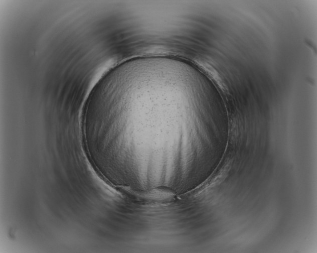 X0000091231475200708301504