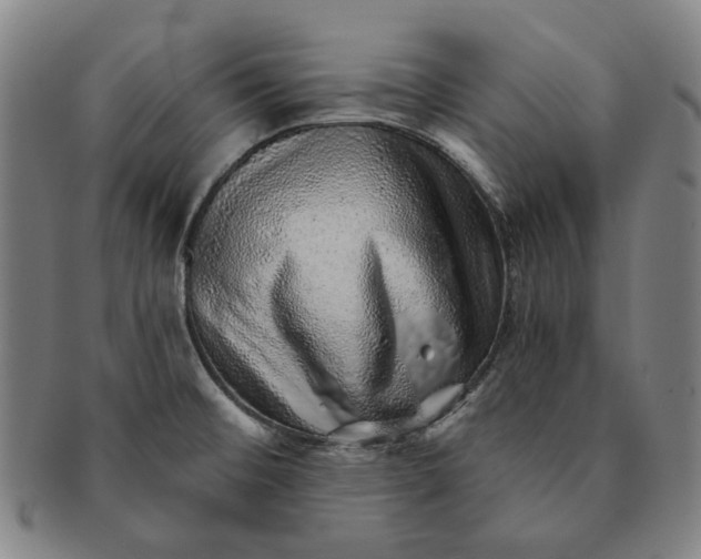 X0000091231476200708301504