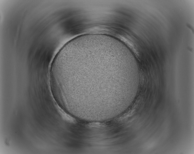 X0000091231478200708301504