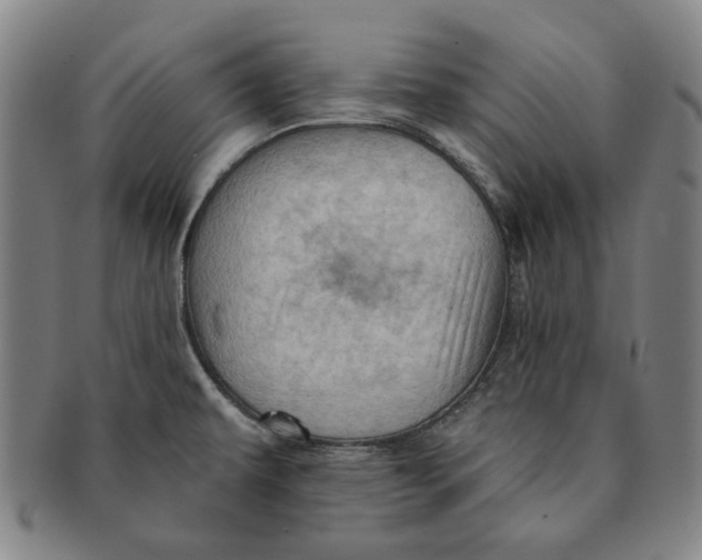 X0000091231479200708301504