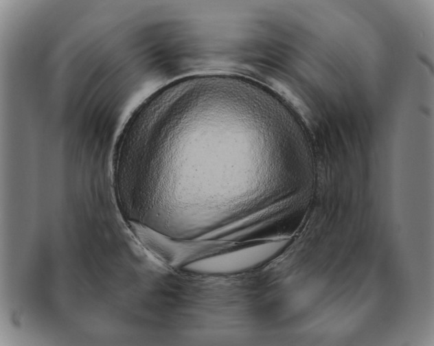 X0000091231480200708301504