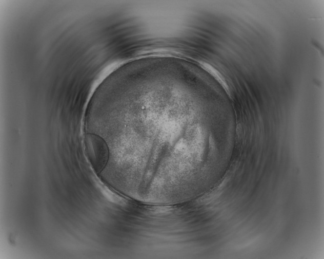 X0000091231482200708301504