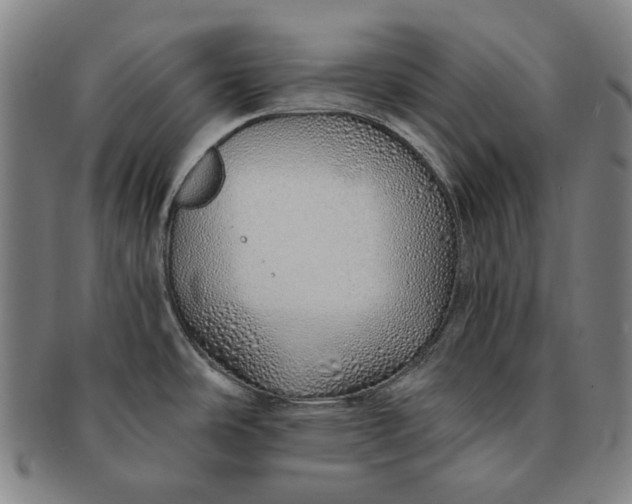 X0000091231486200708301504