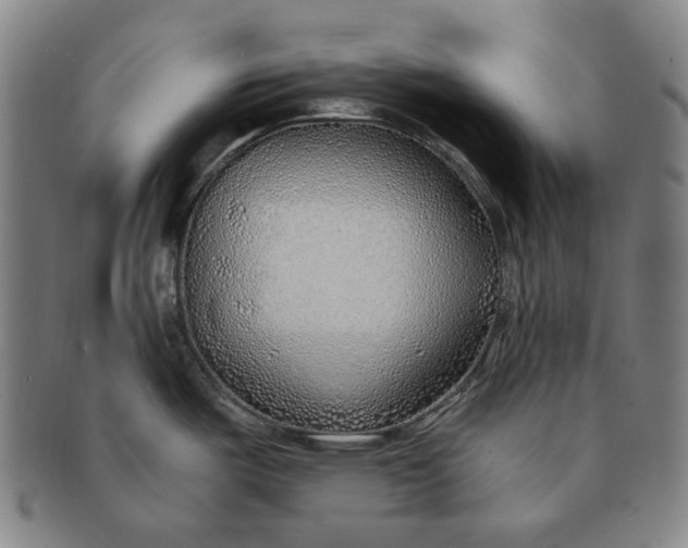 X0000091231487200708301504