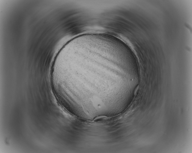 X0000091231488200708301504