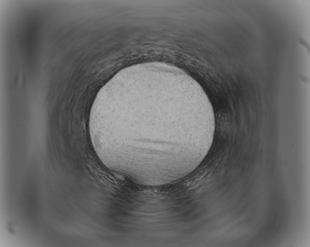 X0000091231489200708301503