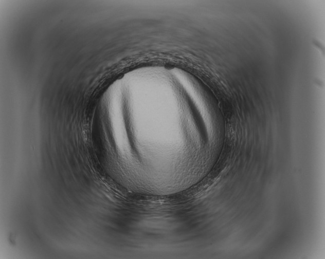 X0000091231490200708301503