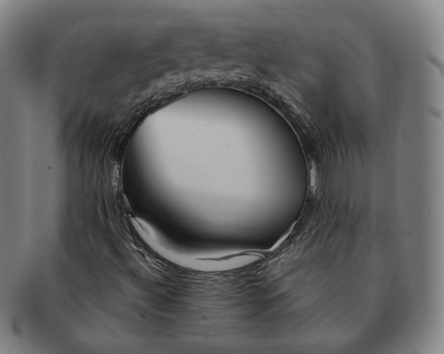 X0000091231492200708301503