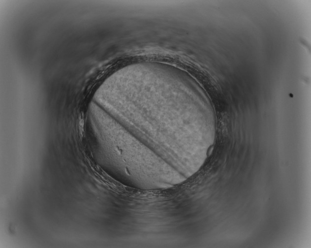 X0000091231493200708301503