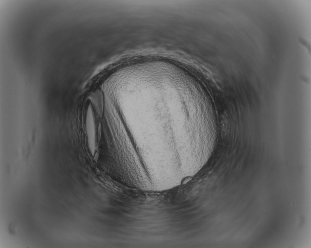 X0000091231494200708301503