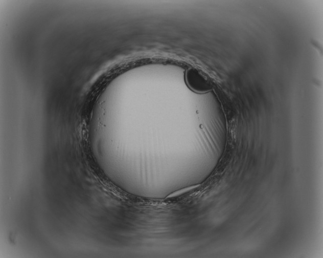 X0000091231495200708301503